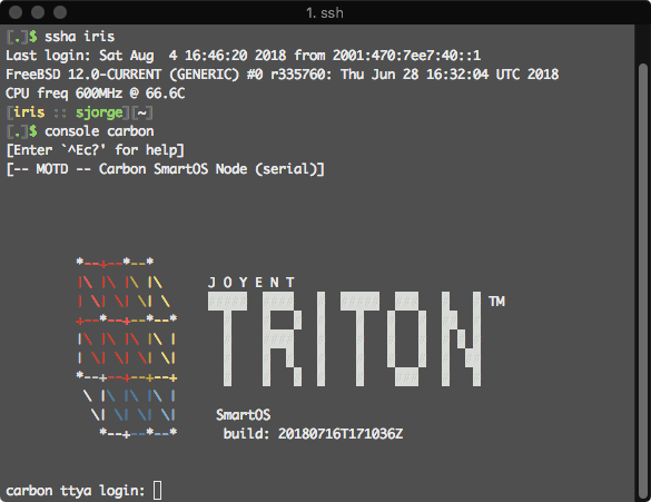 Screenshot showing a terminal running conserver